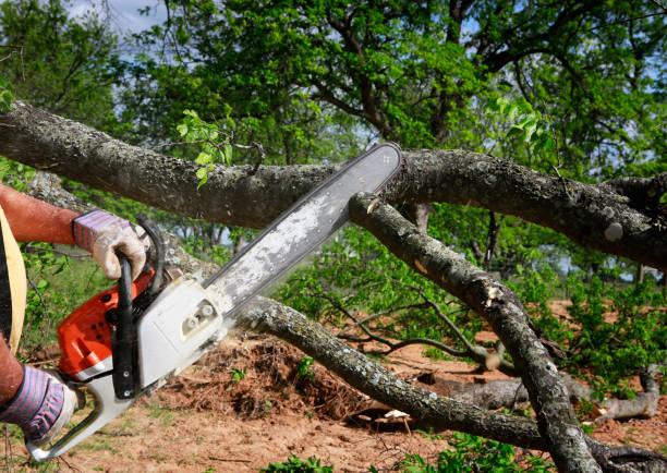 Soil Testing and Treatment in Lewisville, NC